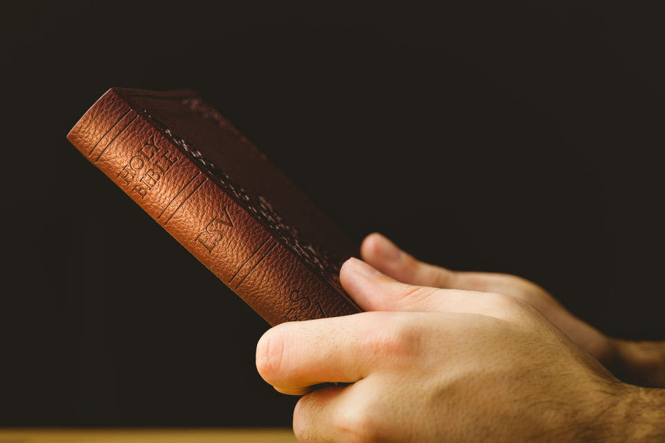 Trigger warning! The Bible may disturb your emotional health